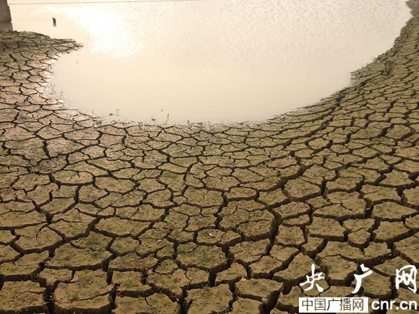 修改病句大全由于长江流域连续干旱导致洞庭湖