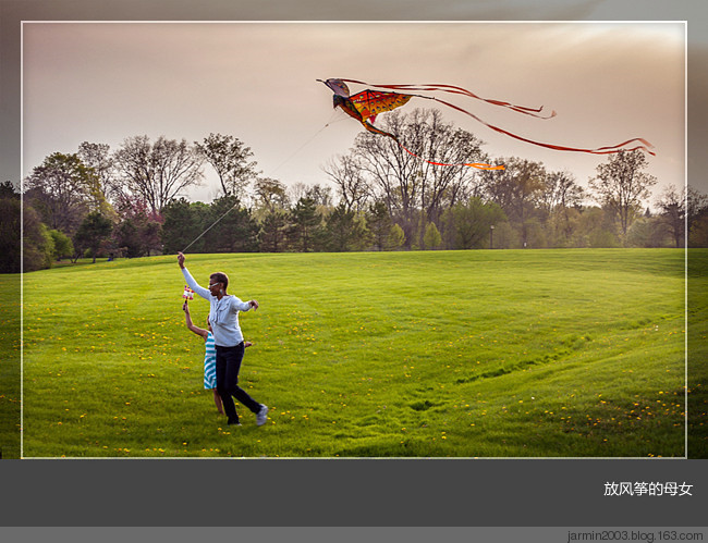 画面:①FLASH动画-蒲公英老了;②小蒲公英问