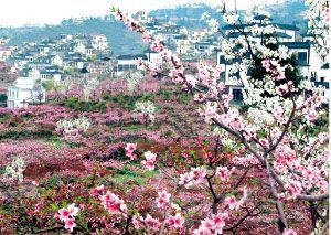 五座城市 五味春节(组图)