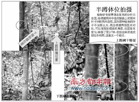 专家称敢担保华南虎照有假 劝拍照者自首(图)