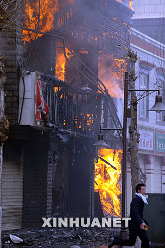 3��14�գ������ж�ɭ��·�ϵ��̵�����ȼ�ա�