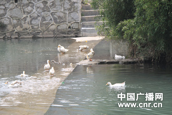 雨冲乡人口_人口普查