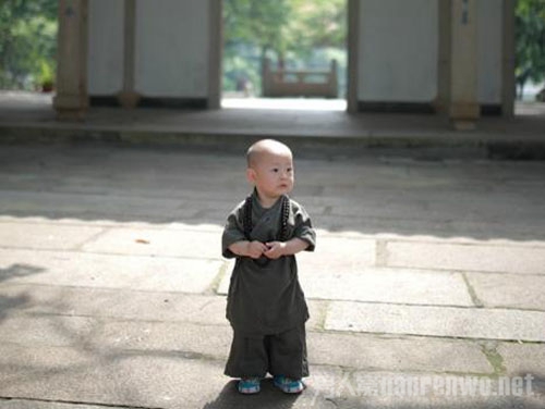 超萌小和尚写真爆红 非真和尚