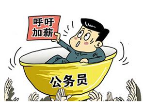 收入证明_收入改革(2)
