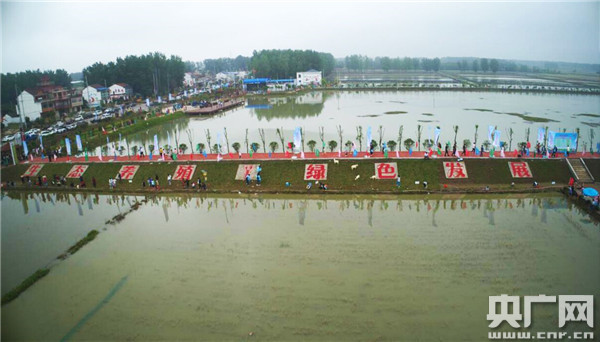 安徽长丰县杜集乡:蝶变换新颜 破茧展芳华