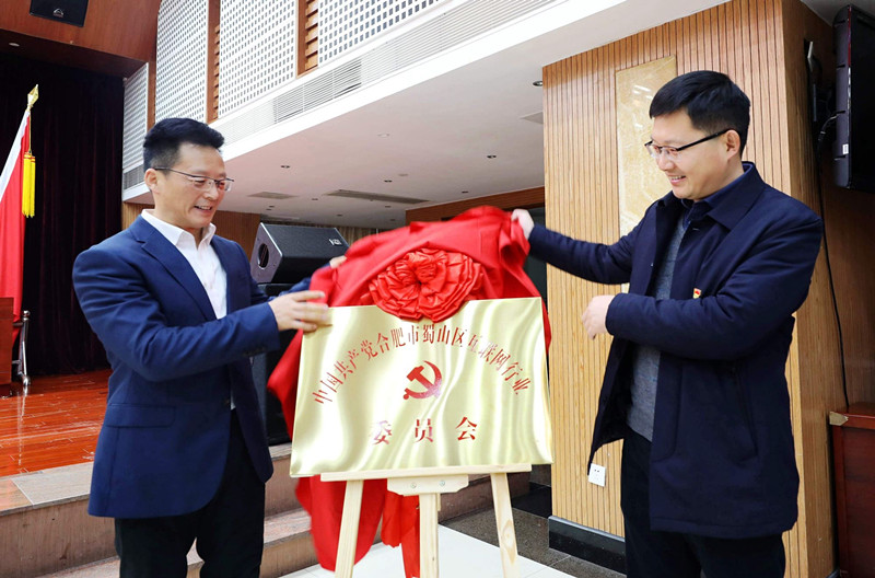 合肥蜀山区互联网企业党建工作推进会暨区互联网行业党委成立大会召开