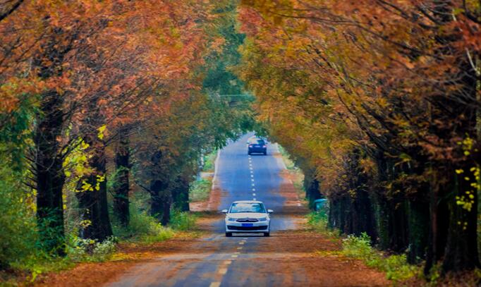 2020年安徽省二本大_安徽医科大学2020级本科新生开启逐梦新征程