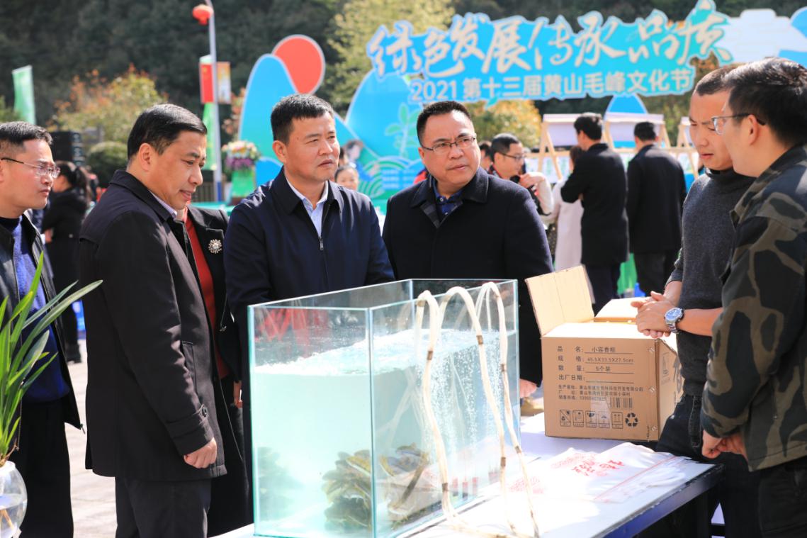 第十三届黄山毛峰文化节在黄山市徽州区富溪乡开幕