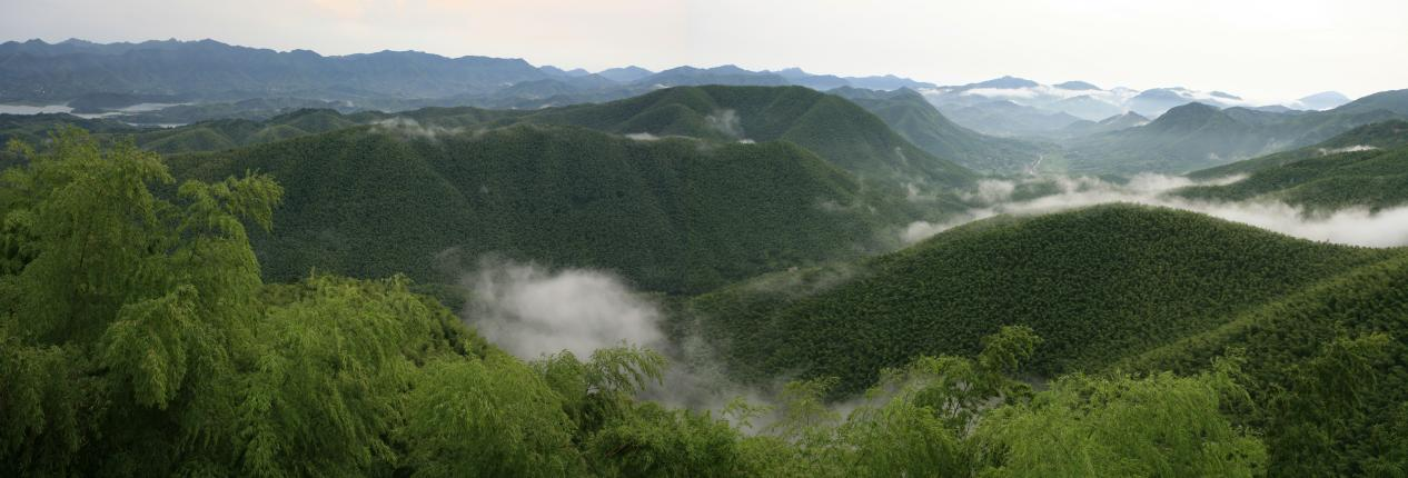 广德市笄山竹海景区