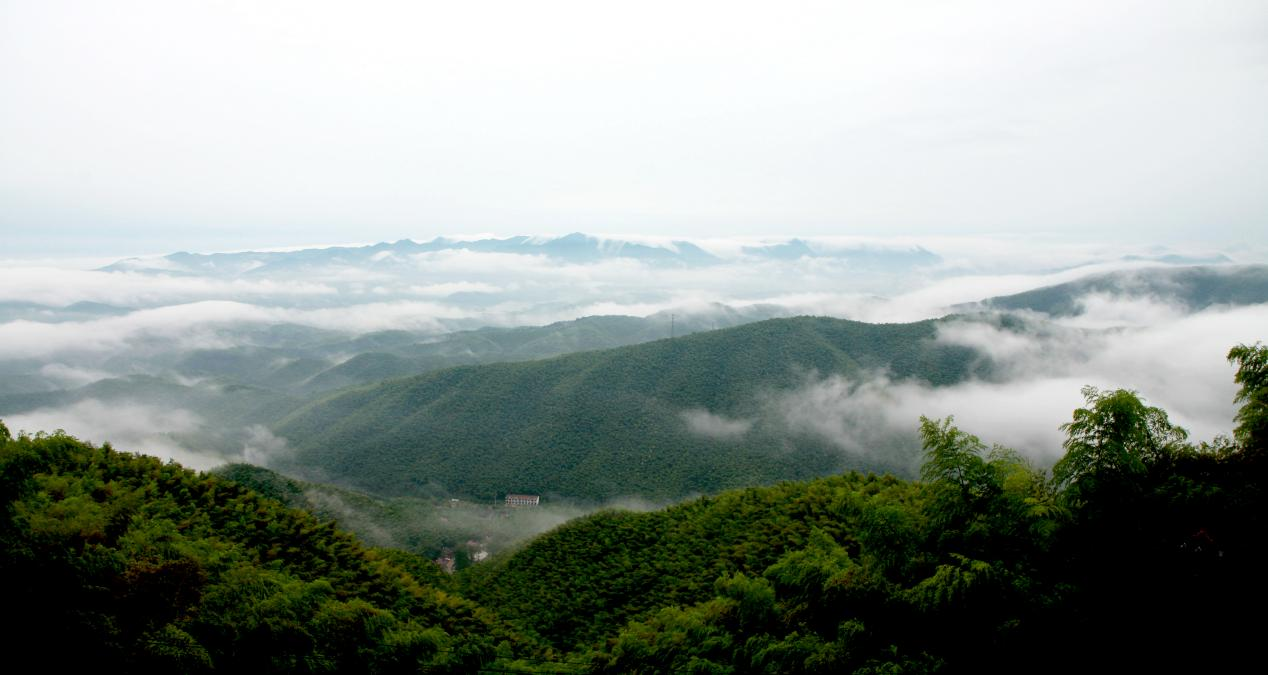 广德市笄山竹海景区