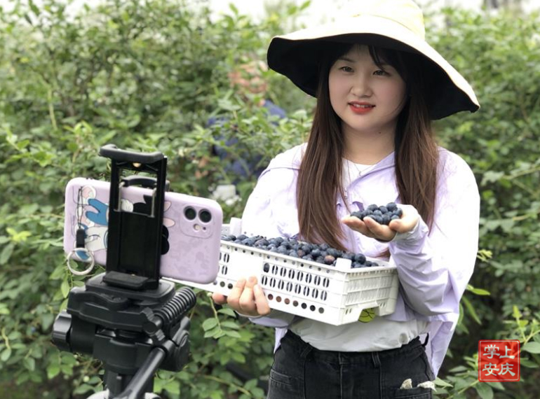 怀宁蓝莓：一颗颗甜蜜的希望