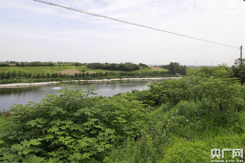 【走在乡村振兴的路上】梦合肥:在这里寻找合