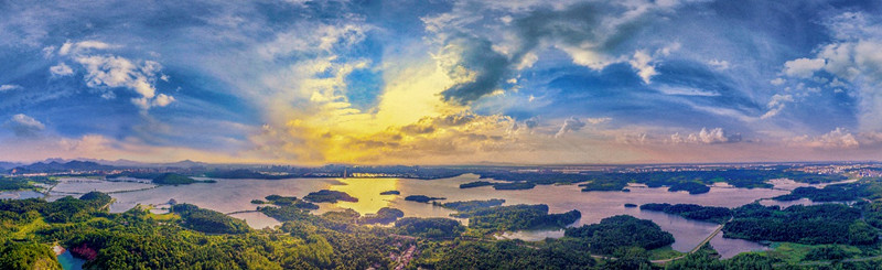 地板精油排行榜_中新财经频道