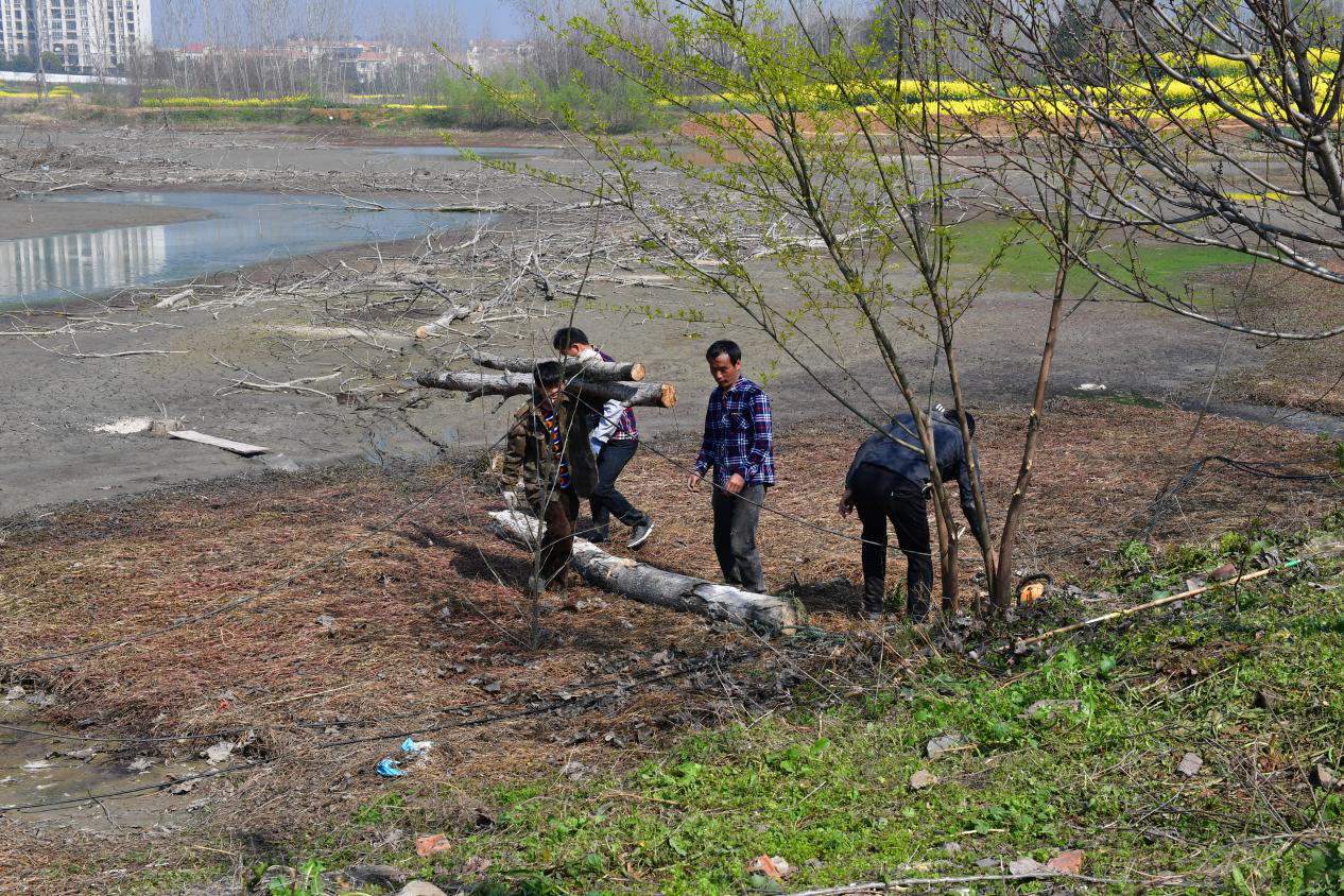 安徽巢湖：300亩闲置土地资源摇身变成生态经济“聚宝盆”
