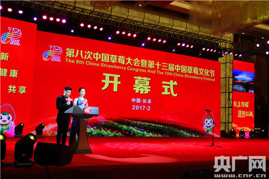 安徽长丰:第八次中国草莓大会暨第十三届中国