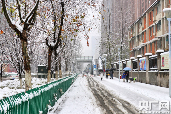 风雪中，为这座城市的文明之光点赞