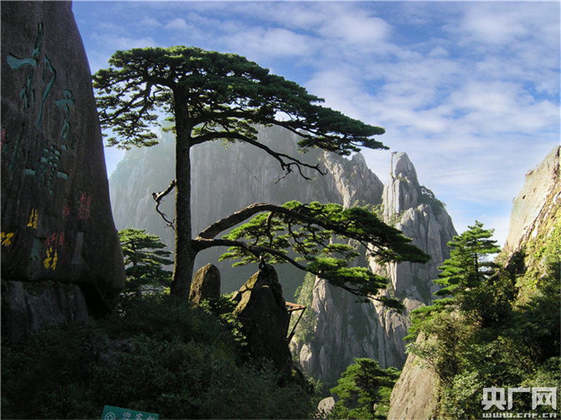 【新闻观察】黄山，凭什么迎客？