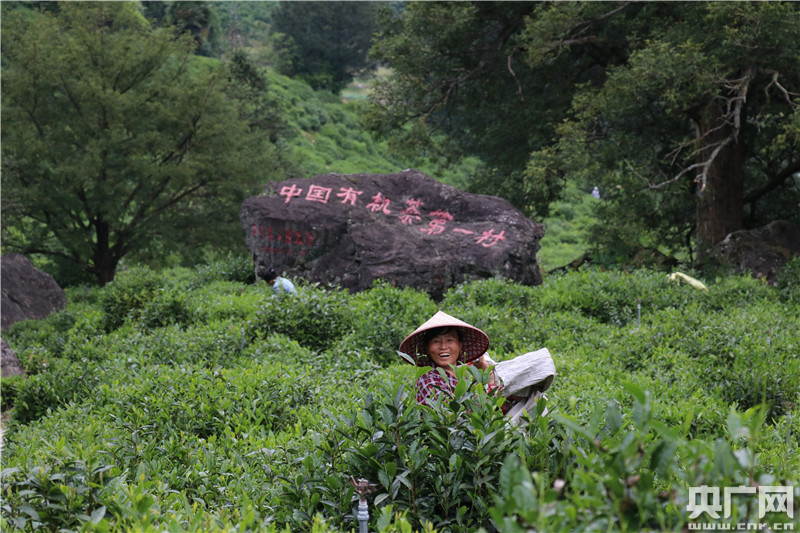 【新闻观察】黄山，凭什么迎客？