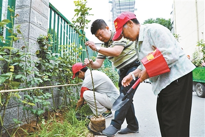 北京老街坊成精治共治法治金字招牌歌仔戏红姑传奇