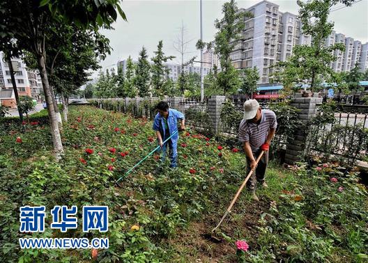 （社会）（2）脏乱村变身文明村