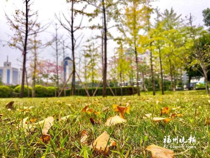 去福州这些公园 "杏"会美丽风景