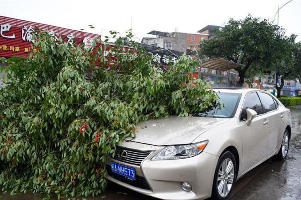 ����ע�������ǡ�����4����8��̨�硰�����ǡ��ڸ���������½