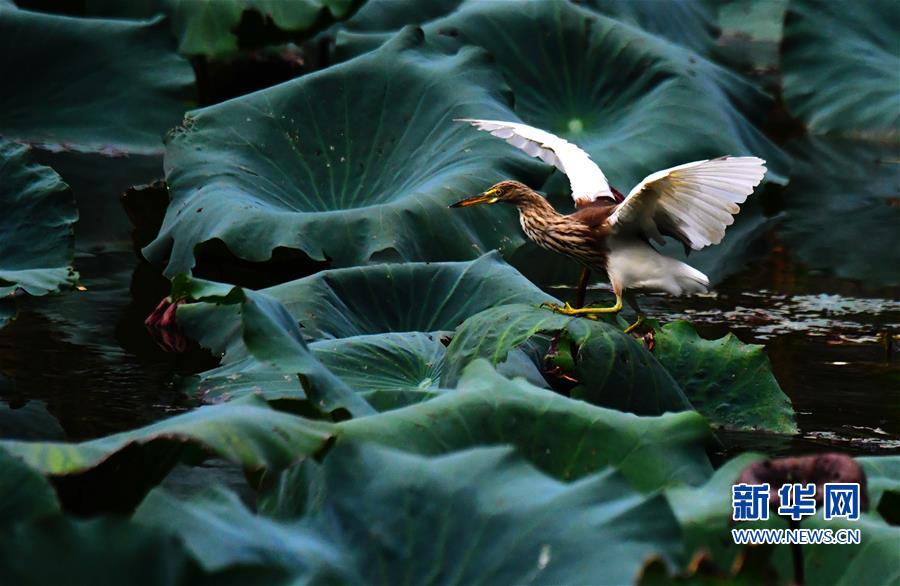 �������й�����1�����ݣ�����ʱ�� ����续