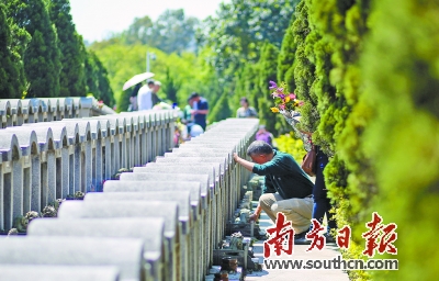 4月2日,天气晴好,市民在广州银河公墓扫墓.南方网全媒体记者罗斌豪 摄