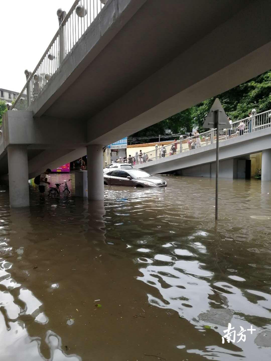 广州越秀达雨量历史高位!全区出动抢险人员超
