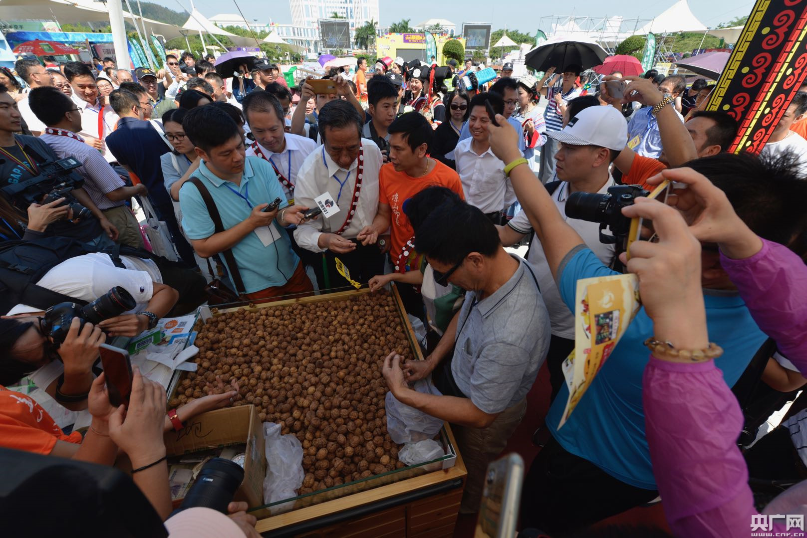 2018顺德美食节正式启动 国际美食“香”约顺德