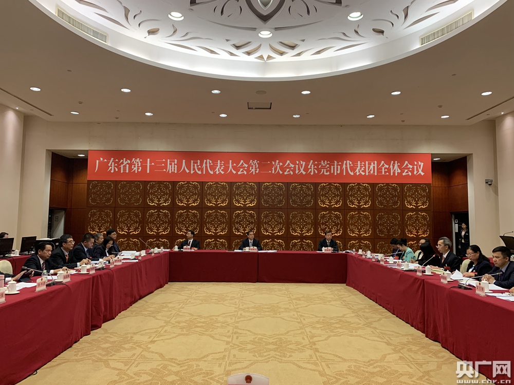 东莞市市长肖亚非:实体经济面临困难 将继续多