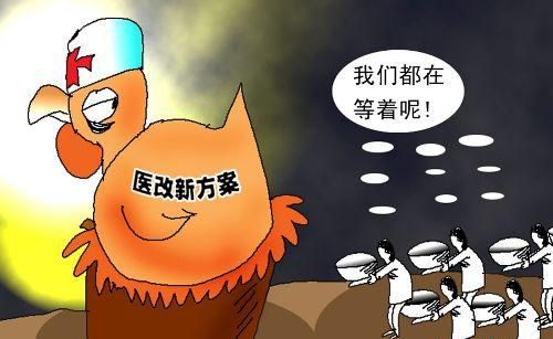 农村合作医疗报销比例_医疗费用人均比例(3)