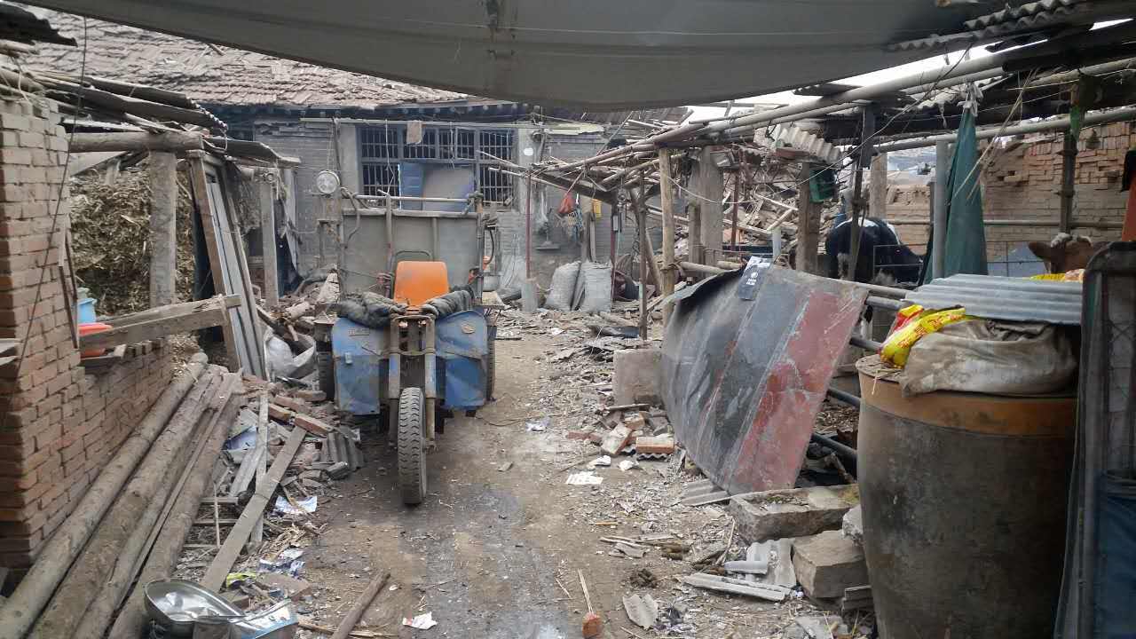 燕子河镇gdp_燕子简笔画(3)