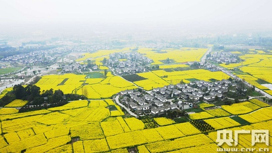 成都郫都区:全力建设全国乡村振兴示范区