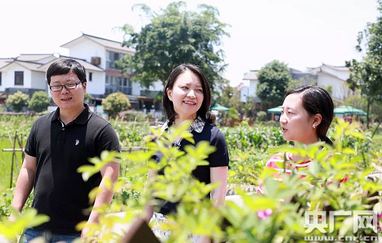 【乡村振兴之下的新农金】金融服务乡村振兴 