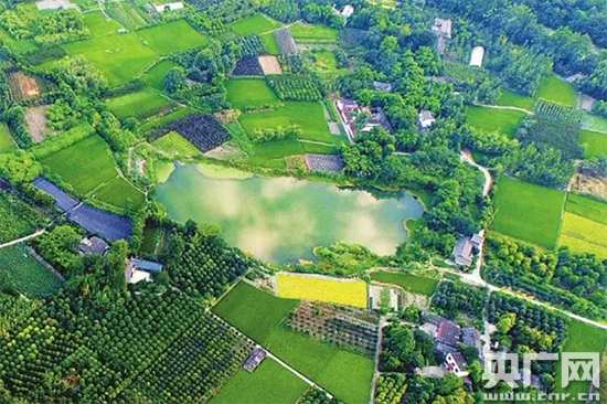 建全国乡村振兴示范区 成都郫都区持续实施六