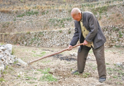 博爱县93岁老人下地干活只为活动筋骨