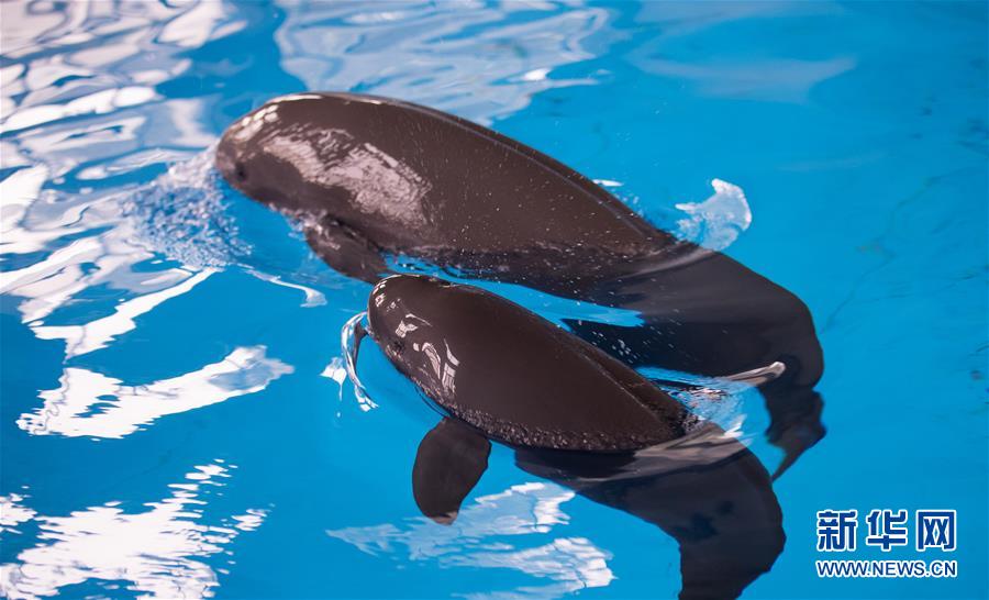 9��10�գ����п�Ժˮ�������о������D��ݣ�С���ࣨǰ����ĸ����һ����ˮ��