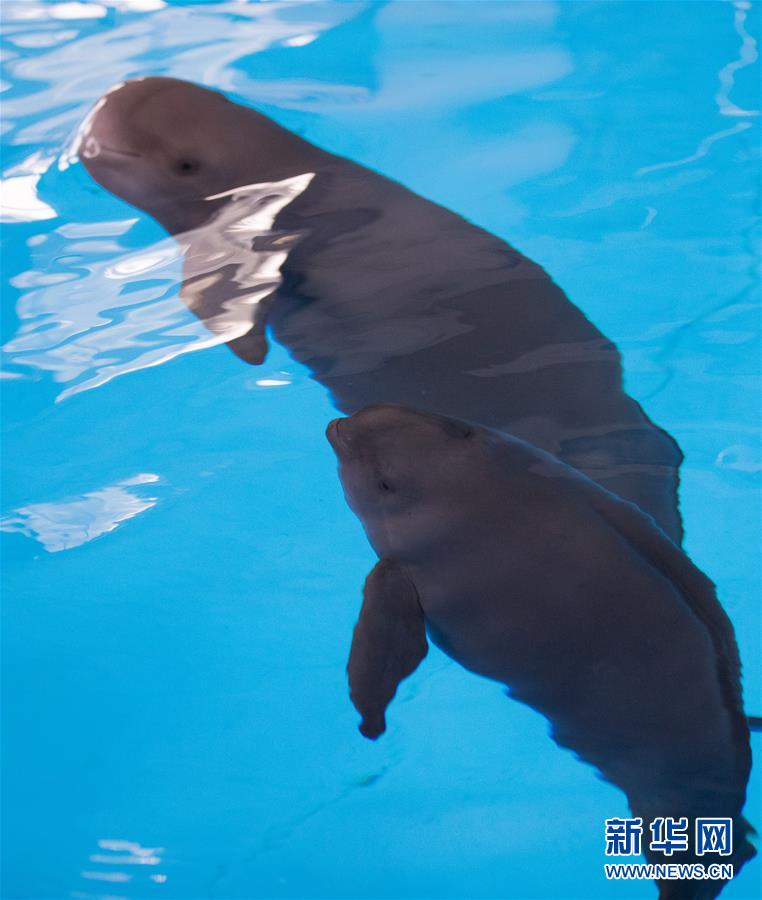 9��10�գ����п�Ժˮ�������о������D��ݣ�С���ࣨǰ����ĸ����һ����ˮ��