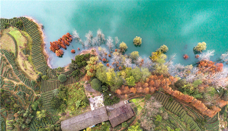 三峡修复库岸生态美