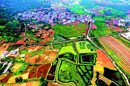 美好环境与幸福生活共同缔造 湖北78个村示范先行