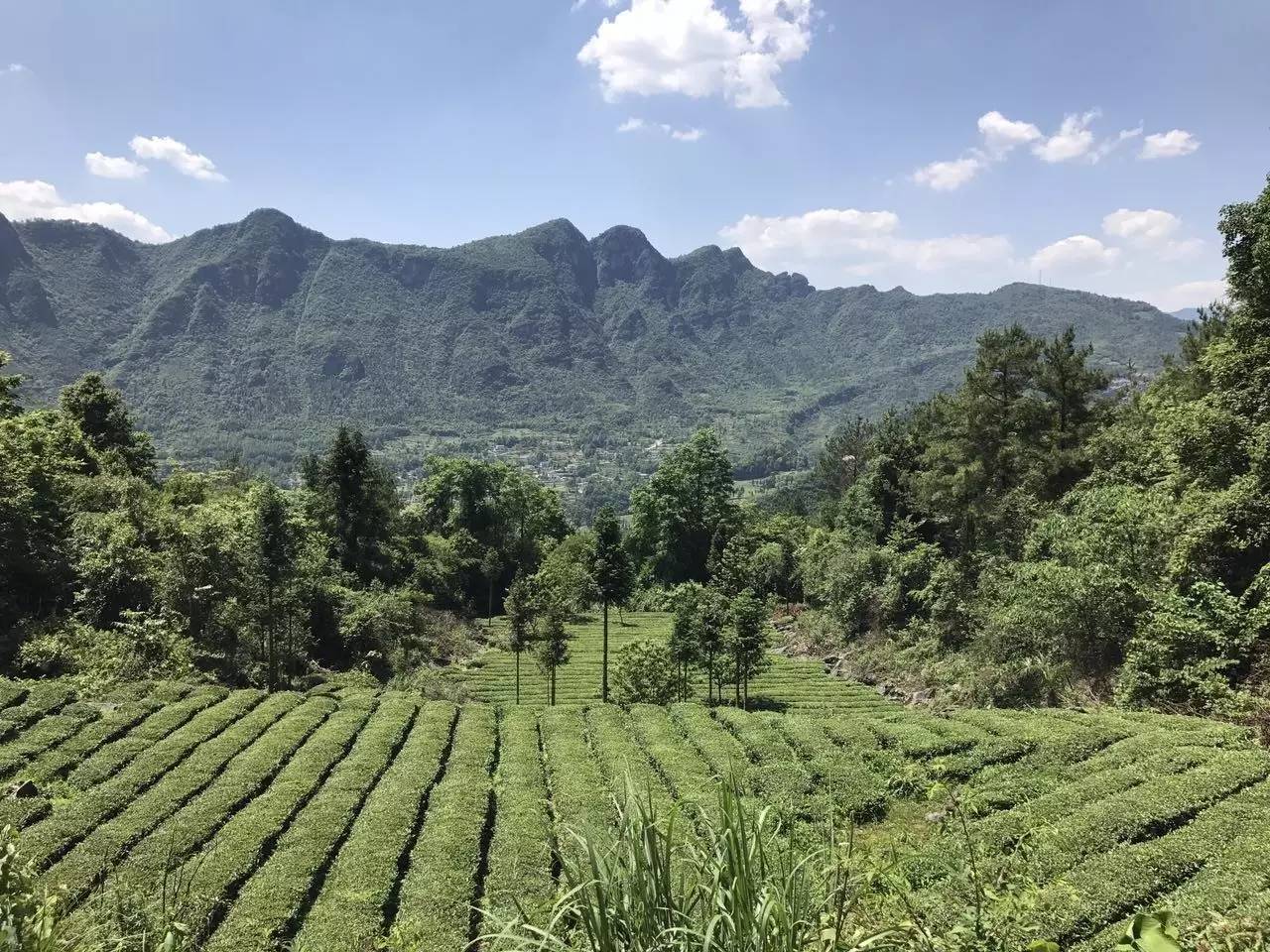 鹤峰县有多少人口_鹤峰人去屏山(2)