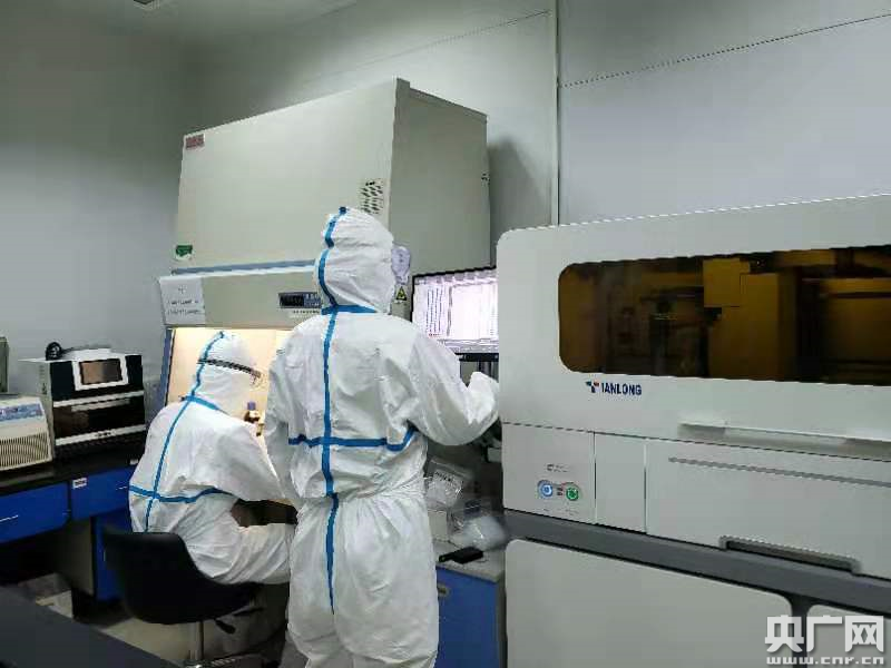 图为:华中科大同济医院检验科正在检测 央广网发 同济医院供图
