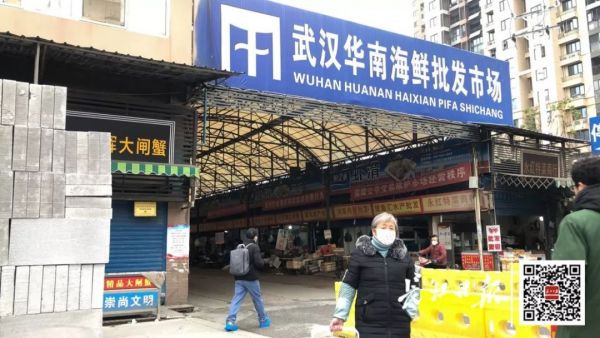 ����鿴����ԭͼ