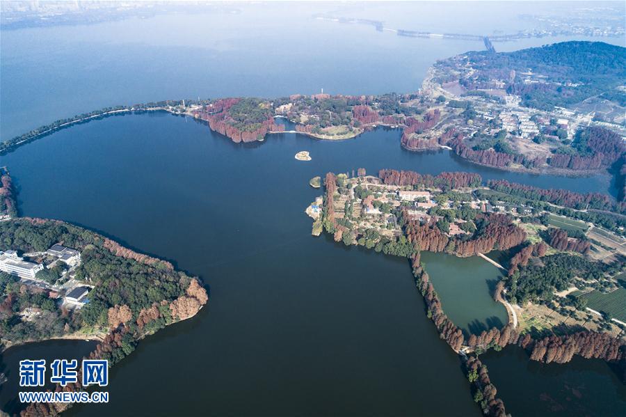武汉东湖绿道二期即将面向市民v市民古诺凡家具为什么希那么贵图片
