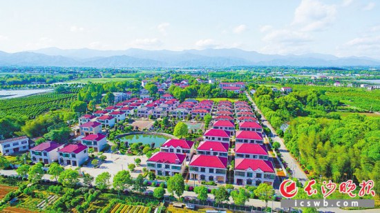 长沙:年底实现集体经济薄弱村“清零”