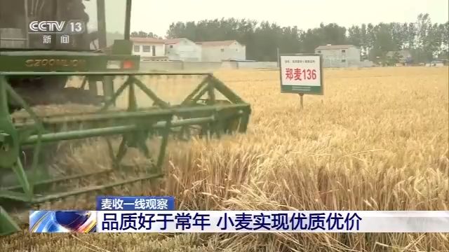农业农村部：我国麦收进度近六成 品质好于常年