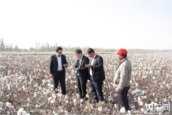 郑商所借期货+保险 开拓援疆扶贫新创举工作