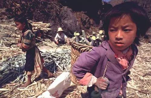 【抓中心 听亮点】扶贫攻坚:山间铃响