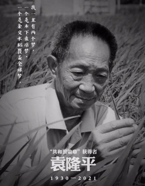 杂交水稻之父袁隆平因病医治无效逝世
